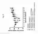 Fig. 07 - COMBINATION THERAPY OF ANTIBODIES ACTIVATING HUMAN CD40 AND ANTIBODIES AGAINST HUMAN PD-L1