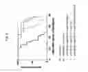 Fig. 08 - COMBINATION THERAPY OF ANTIBODIES ACTIVATING HUMAN CD40 AND ANTIBODIES AGAINST HUMAN PD-L1