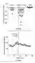 Fig. 41 - Devices, systems and methods for optogenetic modulation of action potentials in target cells