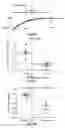 Fig. 63 - Devices, systems and methods for optogenetic modulation of action potentials in target cells
