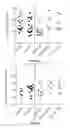Fig. 71 - Devices, systems and methods for optogenetic modulation of action potentials in target cells