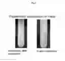 Fig. 02 - Composition of tiacumicin compounds