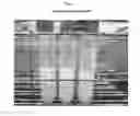 Fig. 07 - Composition of tiacumicin compounds