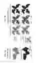 Fig. 10 - PARTIALLY-DENATURED PROTEIN HYDROGELS