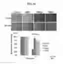 Fig. 22 - PARTIALLY-DENATURED PROTEIN HYDROGELS
