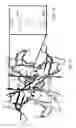 Fig. 03 - CONJUGATION OF PHARMACEUTICALLY ACTIVE AGENTS WITH TRANSTHYRETIN LIGANDS THROUGH ADJUSTABLE LINKERS TO INCREASE SERUM HALF-LIFE
