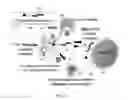 Fig. 05 - CONJUGATION OF PHARMACEUTICALLY ACTIVE AGENTS WITH TRANSTHYRETIN LIGANDS THROUGH ADJUSTABLE LINKERS TO INCREASE SERUM HALF-LIFE