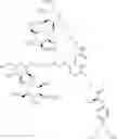 Fig. 28 - Sugar-linker-drug conjugates