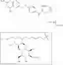 Fig. 65 - Sugar-linker-drug conjugates