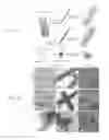 Fig. 02 - Coated plant virus imaging agents