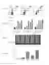 Fig. 04 - Coated plant virus imaging agents