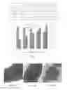 Fig. 08 - Coated plant virus imaging agents