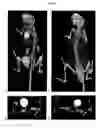 Fig. 09 - Methods and Compositions for Improved Labeling of Targeting Peptides