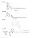 Fig. 33 - Methods and Compositions for Improved Labeling of Targeting Peptides