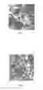 Fig. 02 - Composition and methods for antimicrobial articles