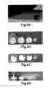 Fig. 08 - Thermosensitive and crosslinkable polymer composite for three-dimensional soft tissue scaffold printing