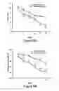 Fig. 07 - Cell sheet construct for neurovascular reconstruction and manufacture thereof