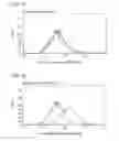 Fig. 06 - Bioengineered allogeneic blood vessel