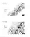 Fig. 31 - Bioengineered allogeneic blood vessel