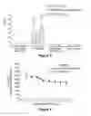 Fig. 06 - Anti-proliferative and anti-inflammatory agent combination for treatment of vascular disorders with an implantable medical device
