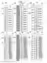 Fig. 03 - Safety syringe and safety dose combination kit