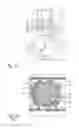 Fig. 15 - Hand-held drug injection device and dose setting limiter mechanism therefor