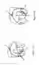 Fig. 13 - Supplemental device for attachment to an injection device