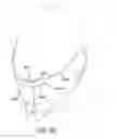 Fig. 41 - Methods, systems and devices for non-invasive open ventilation with gas delivery nozzles with an outer tube