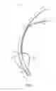 Fig. 02 - Endotracheal cuff and technique for using the same