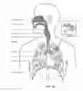 Fig. 05 - Neck strap, crown strap assembly and headgear for a breathing mask