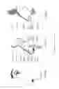 Fig. 11 - Neck strap, crown strap assembly and headgear for a breathing mask