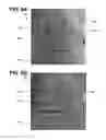 Fig. 08 - Systems, methods, and interfaces for configuring cardiac therapy