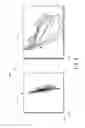 Fig. 07 - Oral function device