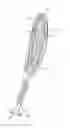 Fig. 01 - SMASH GOLF RACQUET