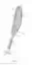 Fig. 02 - SMASH GOLF RACQUET