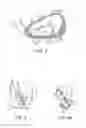 Fig. 04 - Ball striking device having a covering element