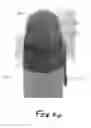 Fig. 21 - Cleaning device