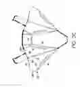 Fig. 07 - Bag with multiple storage compartments