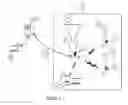 Fig. 06 - Multi-Functional Digital Display System