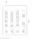 Fig. 09 - Composing an image