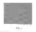 Fig. 05 - MICROPERFORATED POLYMERIC FILM AND METHODS OF MAKING AND USING THE SAME