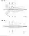 Fig. 02 - Microchip and particulate analyzing device