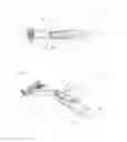Fig. 02 - BODY CARE DEVICE