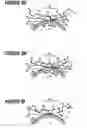 Fig. 09 - SQUEEZING-ROLL GRANULATOR AND USE THEREOF
