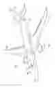 Fig. 02 - Reinforced bladder