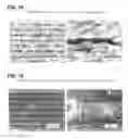 Fig. 09 - Method of manufacturing composite molded body
