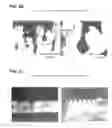 Fig. 15 - Method of manufacturing composite molded body