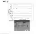 Fig. 18 - Method of manufacturing composite molded body