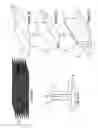 Fig. 03 - Composite structural member