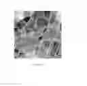 Fig. 05 - Preferably oriented nanotwinned Au film, method of preparing the same, and bonding structure comprising the same